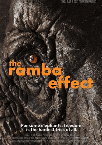 The Ramba Effect-poster-2025-1760605408