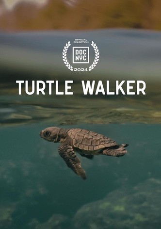 Turtle Walker-poster-2024-1760664819