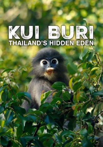 Kui Buri, un écrin sauvage en Thaïlande-poster-2025-1764477222