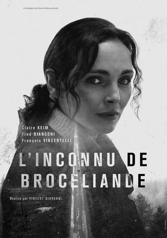 L’Inconnu de Brocéliande-poster-2016-1763877778