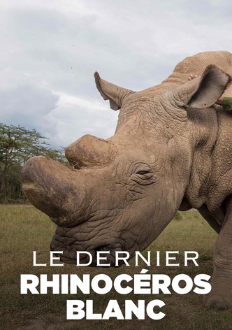 Le Dernier Rhinocéros blanc-poster-2019-1763181207