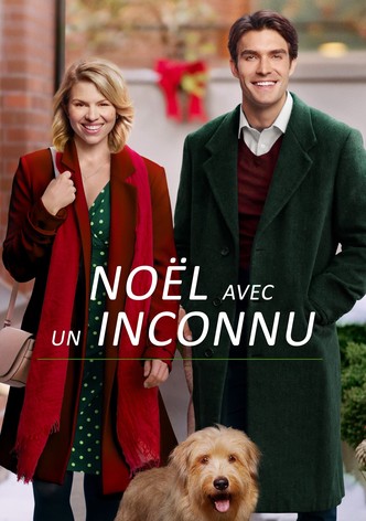 Noël avec un inconnu-poster-2017-1763532155