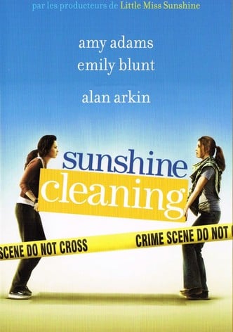 Sunshine Cleaning-poster-2008-1763453245