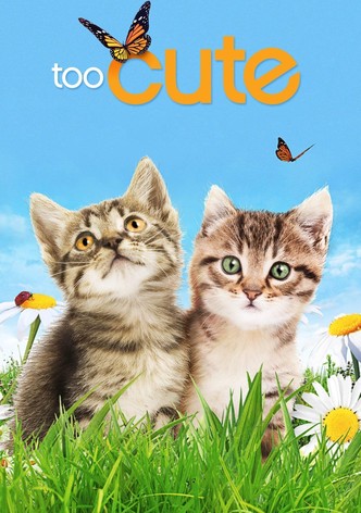 Too cute (Trop mignon)-poster-2011-1764206084