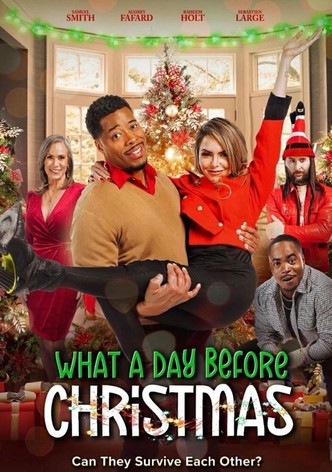 What a day before Christmas-poster-2024-1762317219