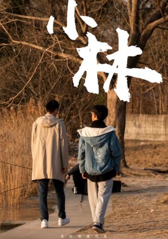 Xiao Lin-poster-2021-1764209236