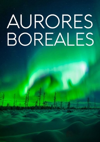 Aurores boréales : Des lumières fascinantes mais menaçantes-poster-2019-1764563380