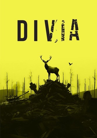 Divia-poster-2025-1764553405