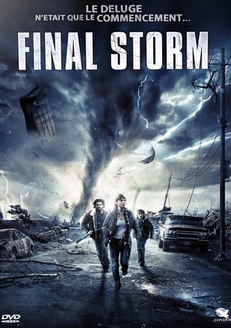 Final Storm-poster-2010-1764990121