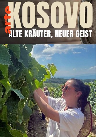 Kosovo, les nouveaux bouilleurs de cru-poster-2025-1766032274