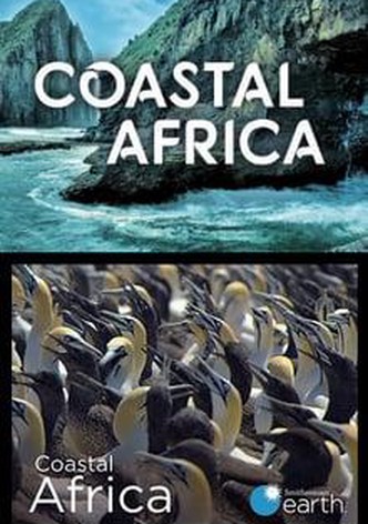 La côte africaine-poster-2016-1766367894