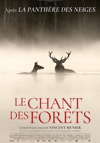Le chant des forêts-poster-2025-1765861452