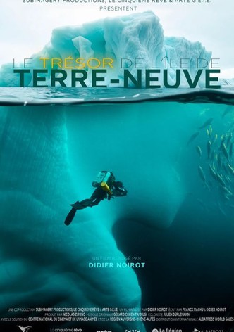 Le trésor de l&rsquo;île de Terre-Neuve-poster-2025-1765859600