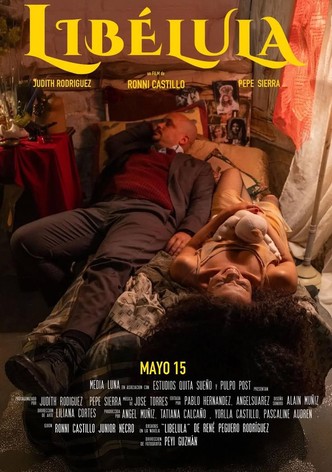 Libellule-poster-2024-1765422097