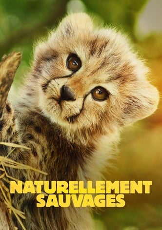 Naturellement sauvages-poster-2025-1766117603