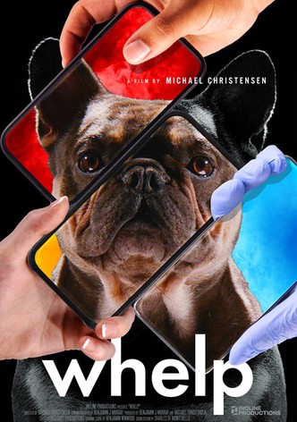 Whelp-poster-2025-1764728330