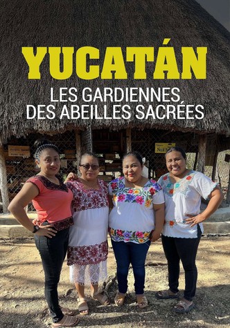 Yucatan, les gardiennes des abeilles sacrées-poster-2025-1764728319