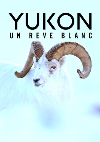 Yukon – Un rêve blanc-poster-2021-1765601116
