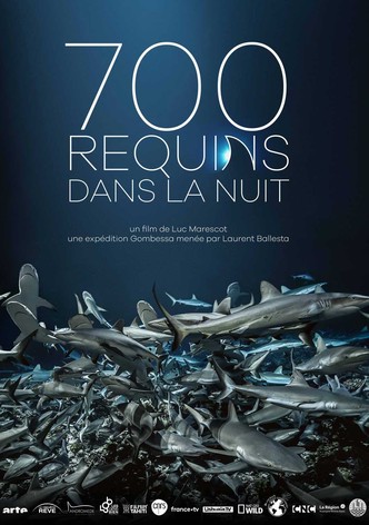 700 requins dans la nuit-poster-2018-1768930029