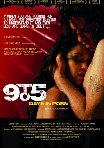9to5: Days in Porn-poster-2008-1768731356