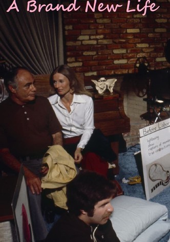 A Brand New Life-poster-1973-1768606163