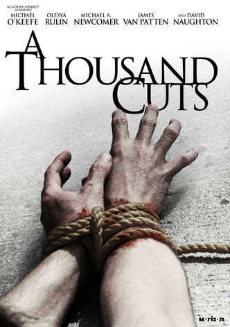 A Thousand Cuts-poster-2012-1768811934