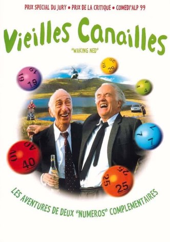 À la santé de Ned-poster-1998-1768656828