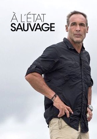 À l&rsquo;état sauvage-poster-2016-1767811912