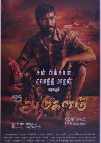 Aadukalam-poster-2011-1768751243