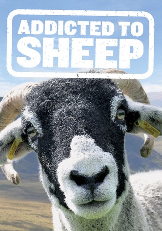 Addicted to Sheep-poster-2015-1768821518