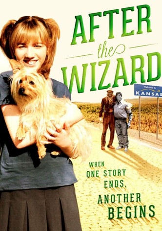 After the Wizard-poster-2011-1768758502