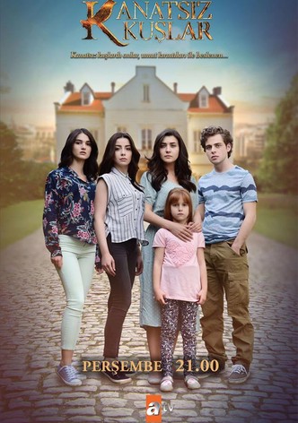 Ailes Brisées-poster-2017-1768410750