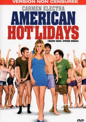 American Hot&rsquo;lidays-poster-2011-1768758693