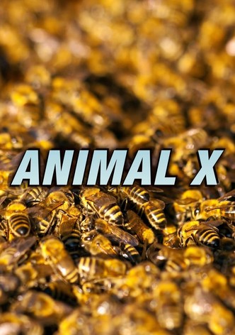 Animal X-poster-1997-1768379941