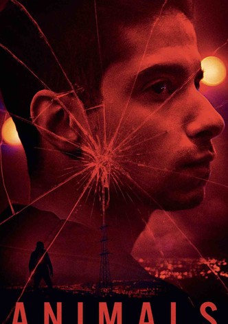 Animals-poster-2022-1769315538