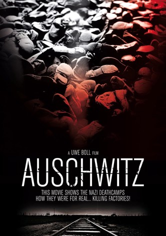 Auschwitz-poster-2011-1768750838
