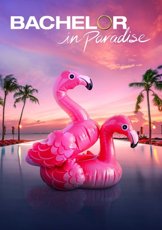 Bachelor in Paradise-poster-2014-1768382969
