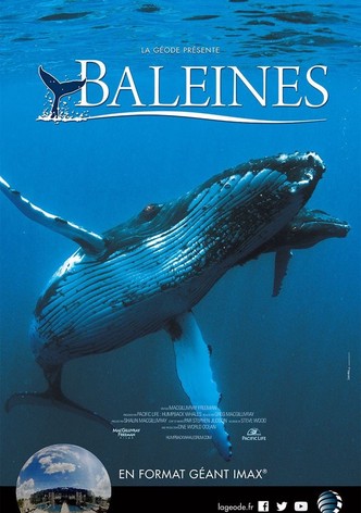 Baleines-poster-2015-1768821438