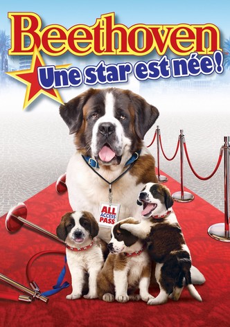 Beethoven 6 : Une star est née !-poster-2008-1768731165