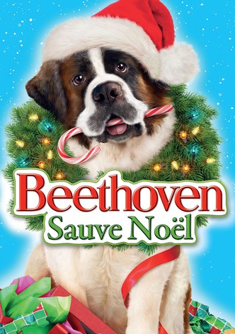 Beethoven sauve Noël-poster-2011-1768758314