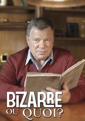 Bizarre ou quoi ?-poster-2010-1768397600