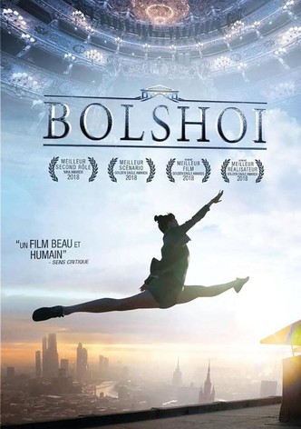 Bolshoy-poster-2016-1768823897