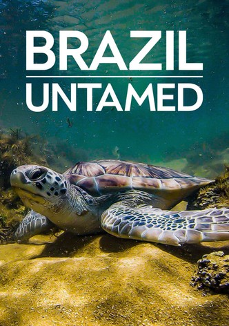 Brazil Untamed-poster-2016-1768398831