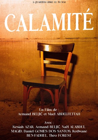 Calamité-poster-2010-1768734586