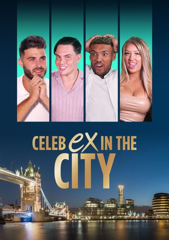 Celebrity Ex in the City : la revanche des ex-poster-2020-1768458447