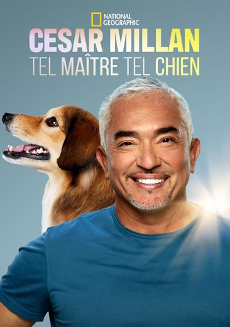 Cesar Millan: Tel Maître, Tel Chien-poster-2021-1768460911