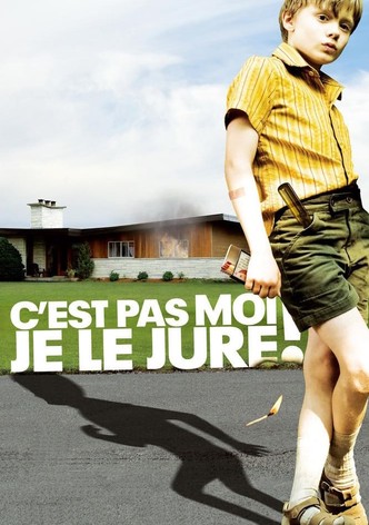 C&rsquo;est pas moi, je le jure!-poster-2008-1768730368