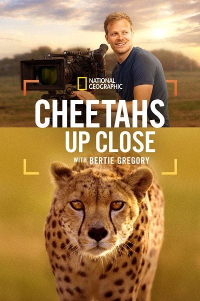 Cheetahs Up Close with Bertie Gregory-poster-2026-1767367461