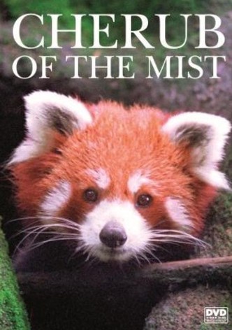 Cherub of the Mist-poster-2006-1768728399