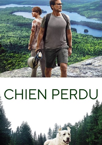 Chien perdu-poster-2023-1769209571